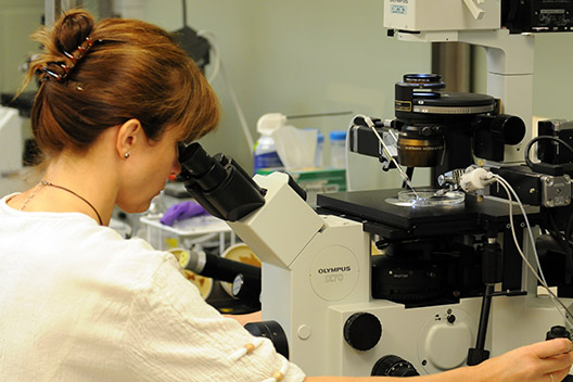 researcher looking through microscope